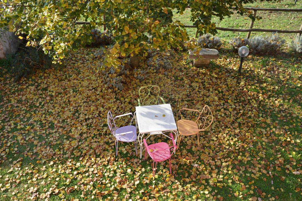 Il Casale Alle Farine Viterbe Extérieur photo