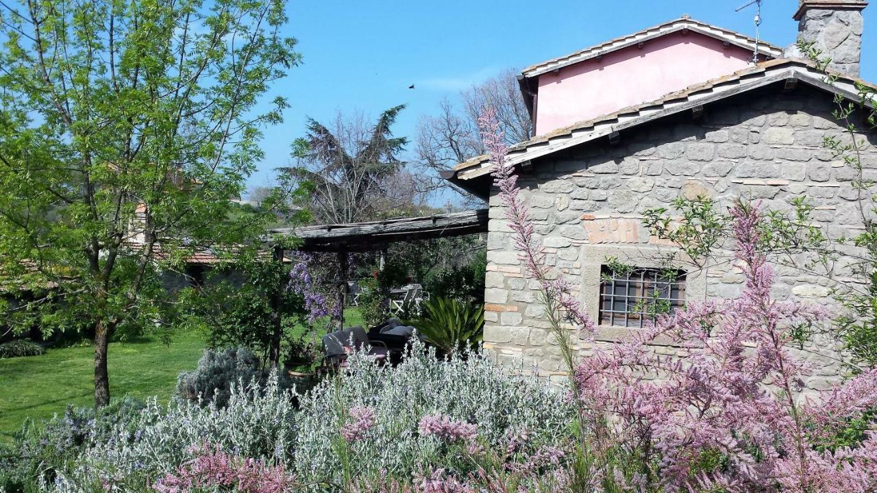 Il Casale Alle Farine Viterbe Extérieur photo